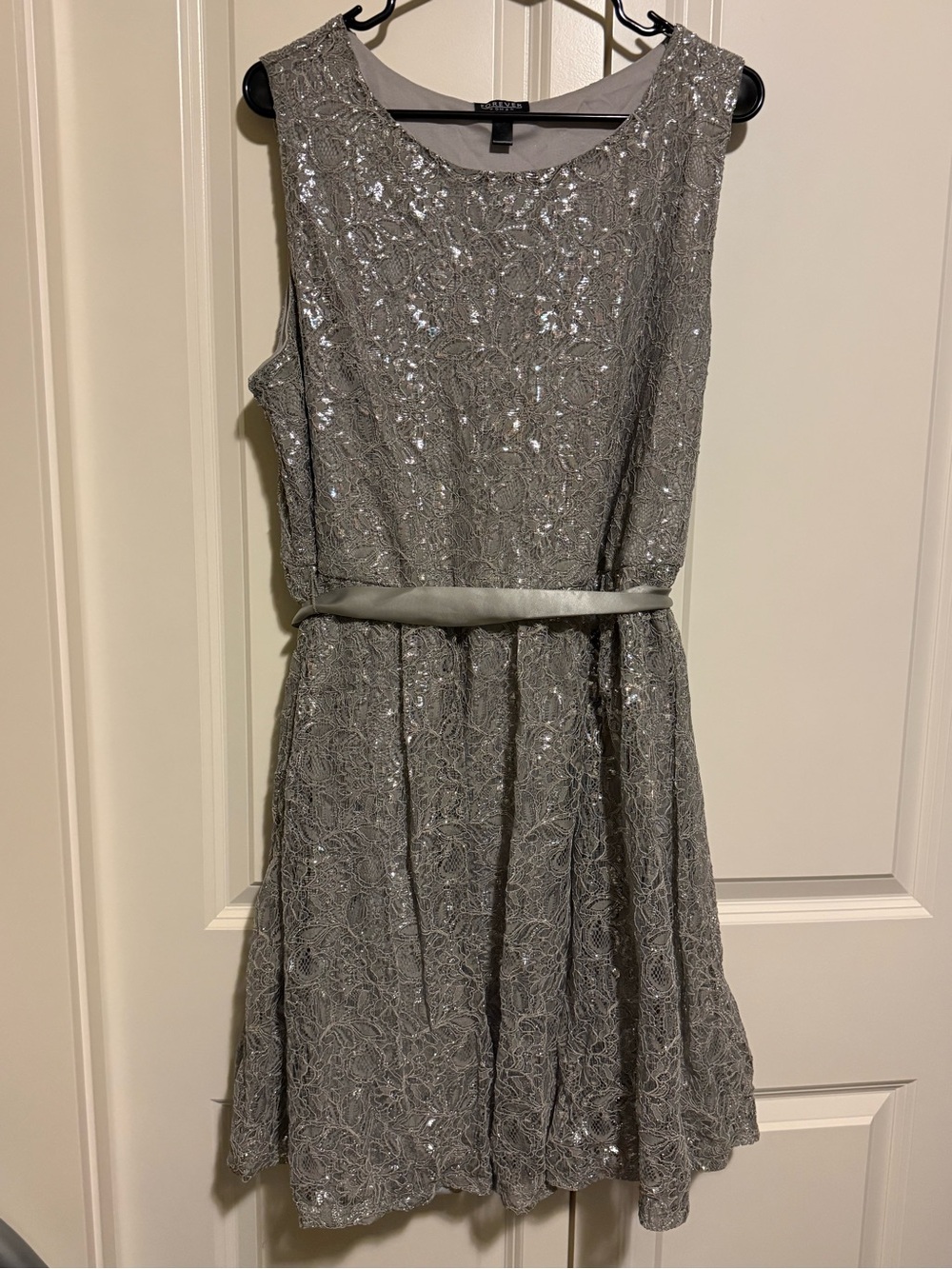 Forever 21 Silver Sequin Lace Fit-and-Flare Dress